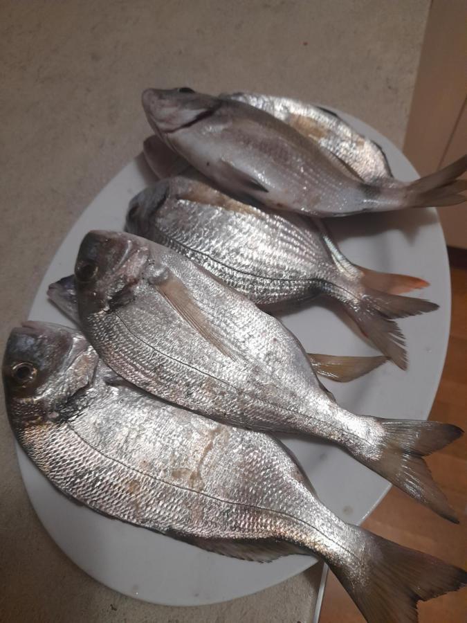 Apartment Dukic 圣菲利普雅科夫 外观 照片